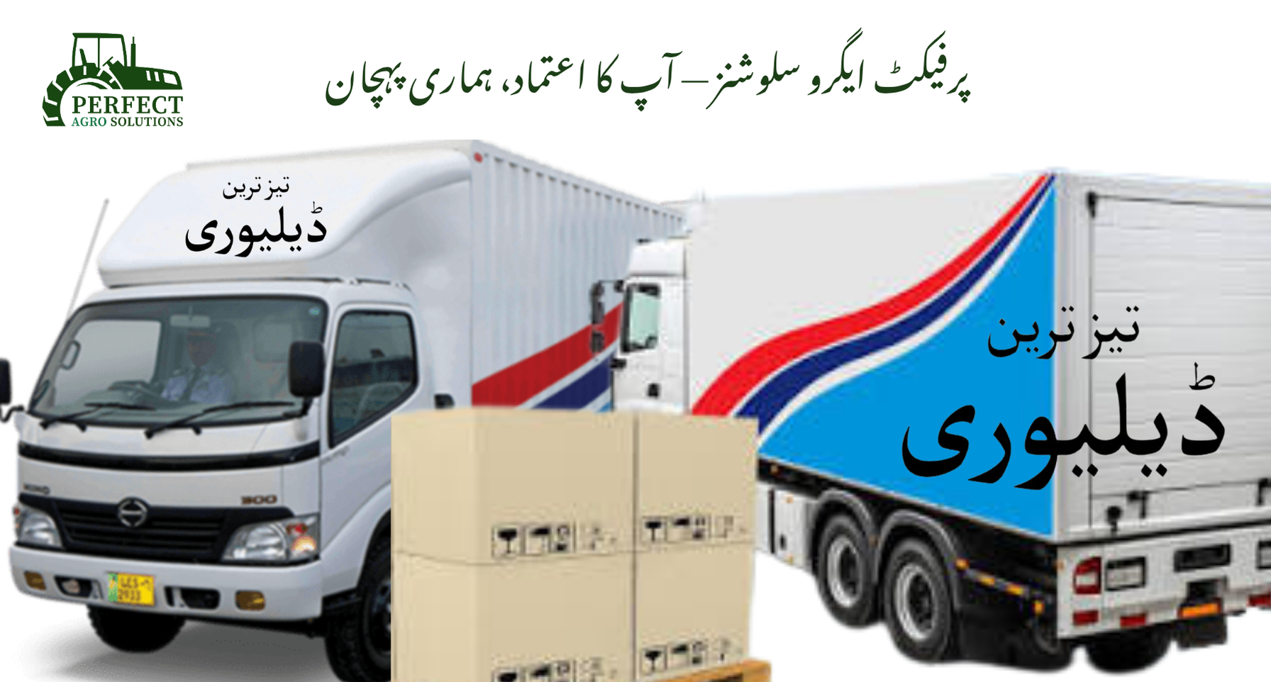 پرفیکٹ ایگرو سلوشنز - 2026-08-31T131849.505